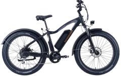 RAD-POWER RADRHINO 5 (Free Helmet, Lock, Phone holder)